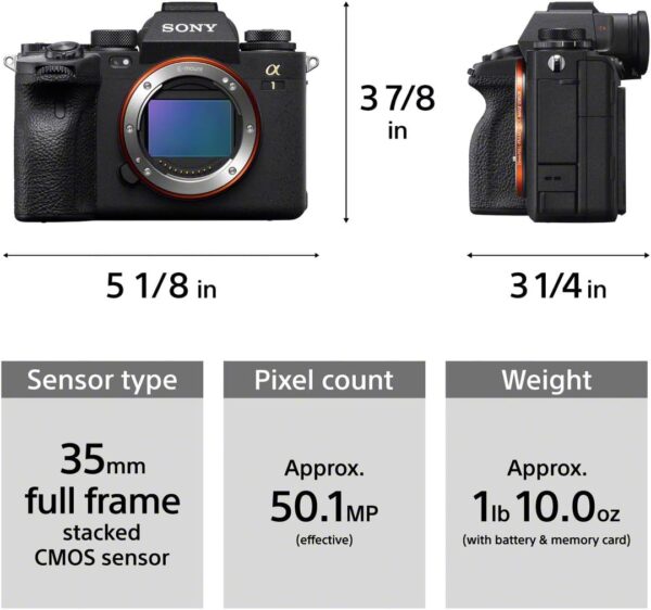Sony Alpha 1 Review – The Ultimate Full-Frame Mirrorless Camera for Professionals - Image 3