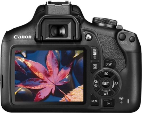 Canon EOS Rebel T7 Review – Best Canon Camera for Beginners in 2025 - Image 3